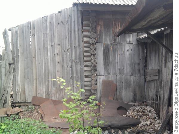 Дачка из тыквы в карету