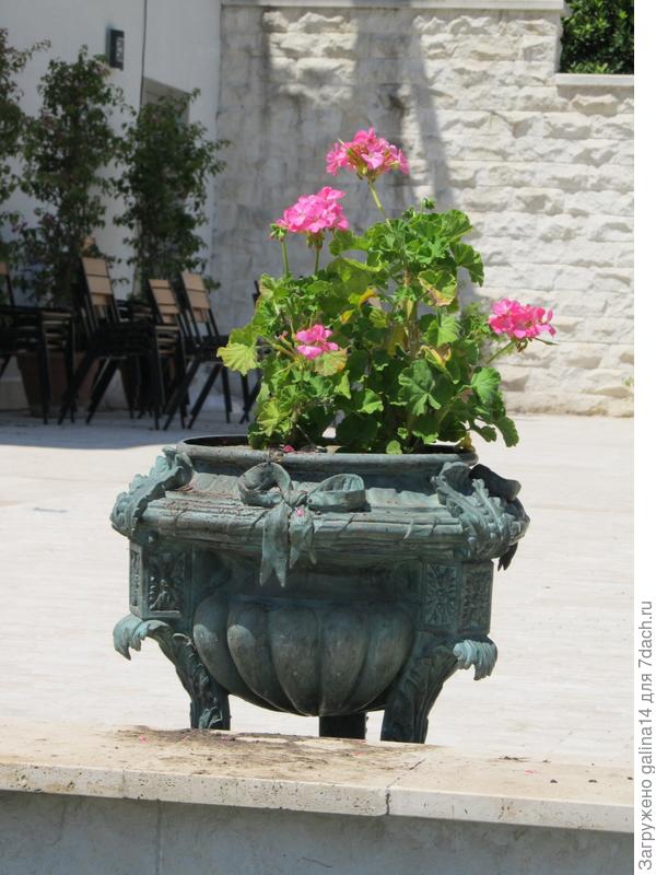 Медная клумба с пеларгонией зональной