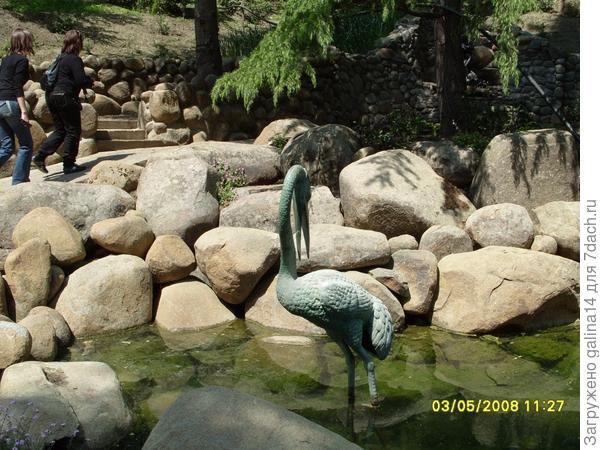 1 цапля в воде