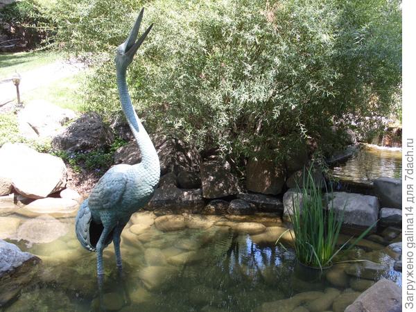 Одинокая цапля