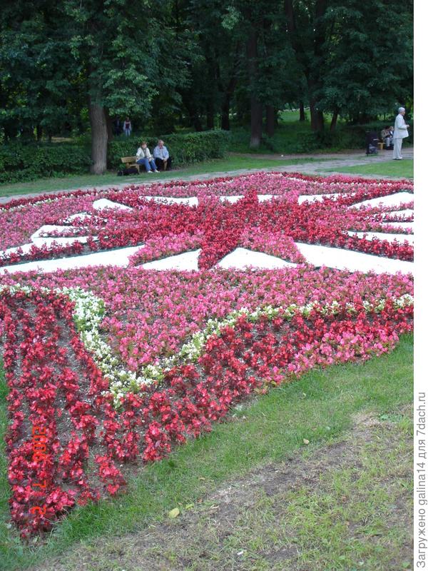 цветник 10