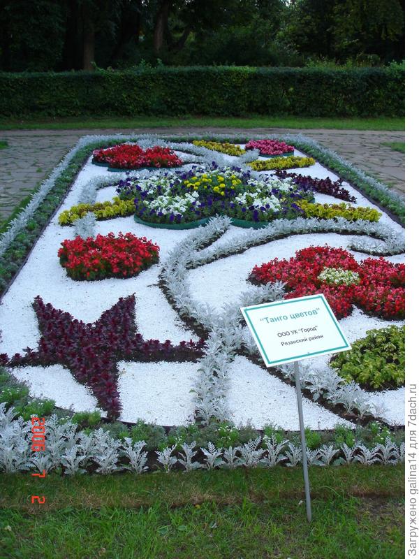 цветник 13