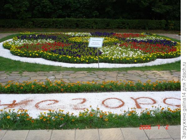 цветник 16
