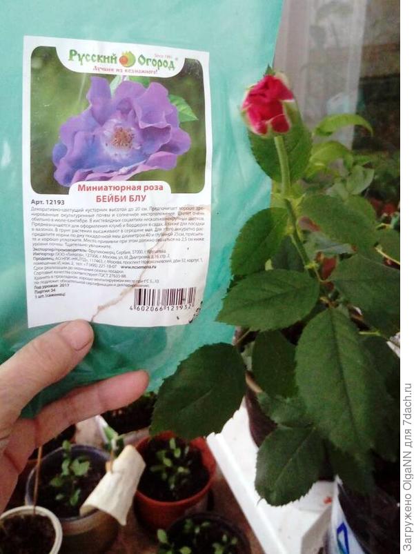 Зачем обманывать покупателей?