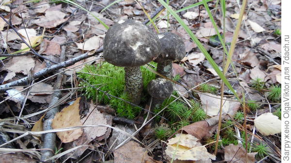 В солнечный день