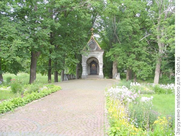 Валаам маки у Образа Богородицы