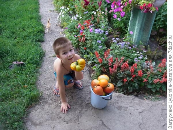 Салатик, что ли сделать!!