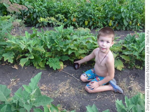 Вот,что у нас еще!!!