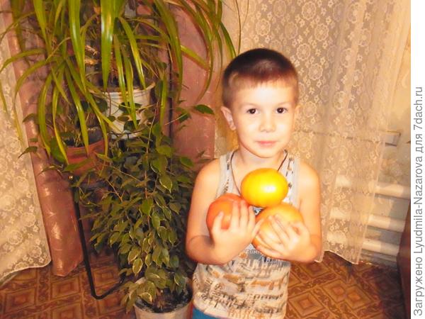Вот какие помидорки!!!