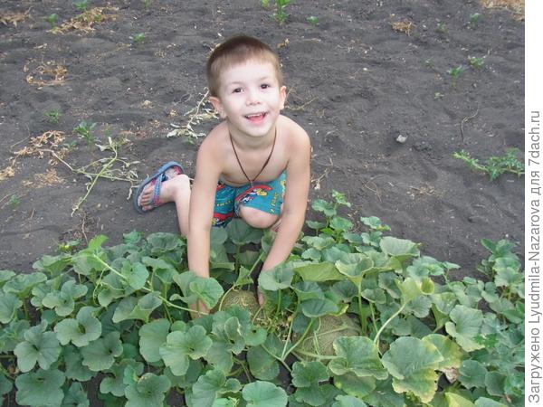 Вкусненька!!!