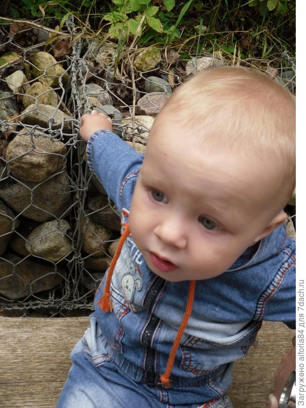 Пусти меня ты мама,пусти меня родная на нашу дачу поскорей...