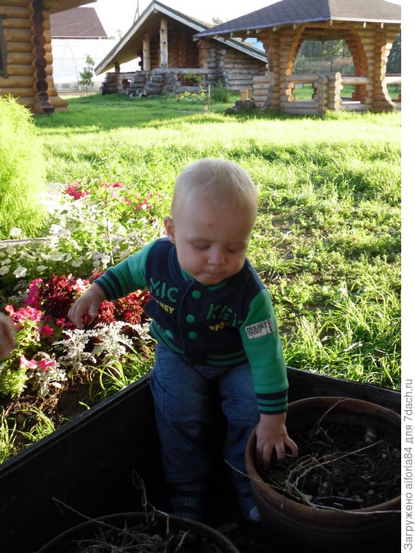 Горшочек счастья положу,туда секретик посажу...