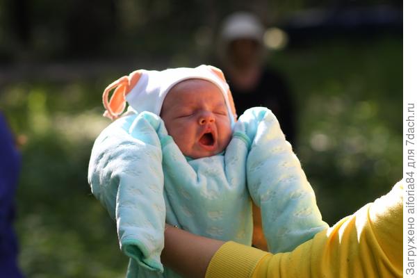 На природе я пою,вот как дачу я люблю!