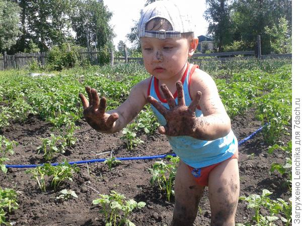 Это я помогаю маме поливать картошку, самое веселое занятие - особенно в жару)))