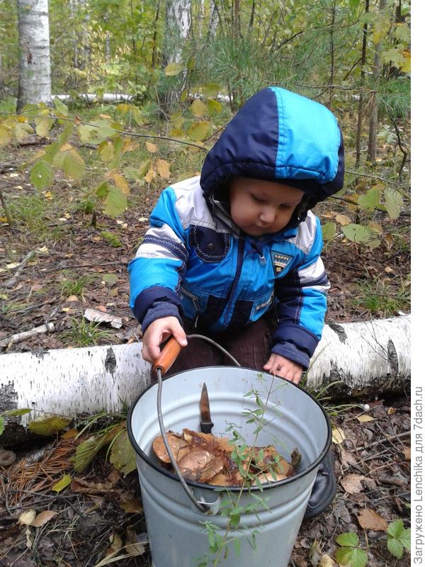 А больше всего мы с мамой любим ходить за грибами....
