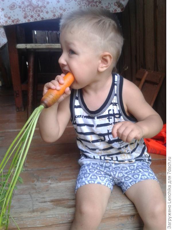 Прием витаминов - это обязательная и приятная процедура