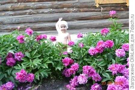 Приключения Киры на даче)