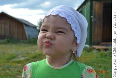 Приключения Киры на даче)