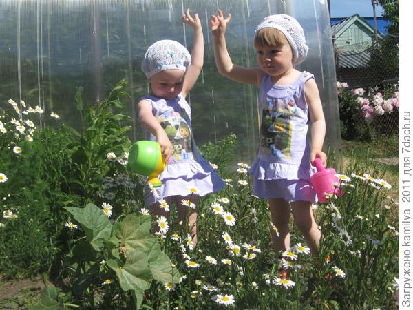 Лейка наш любымый друг