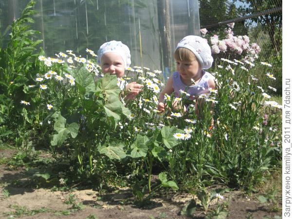 Лейка наш любымый друг