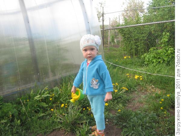 Лейка наш любымый друг