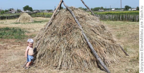 малыш у копны