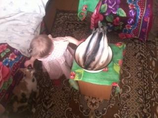 решила покормить котика рыбкой ей на этом фото 11 месяцев