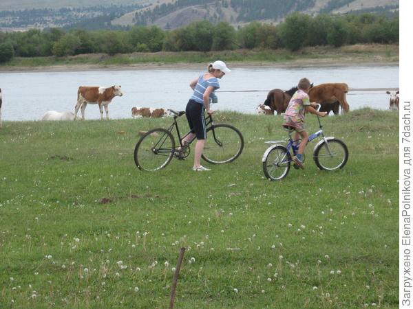 это я с племянником, сын наблюдает с бабушкой за нами