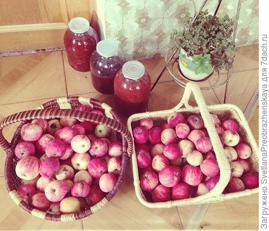 В деревне у любимой бабушки))