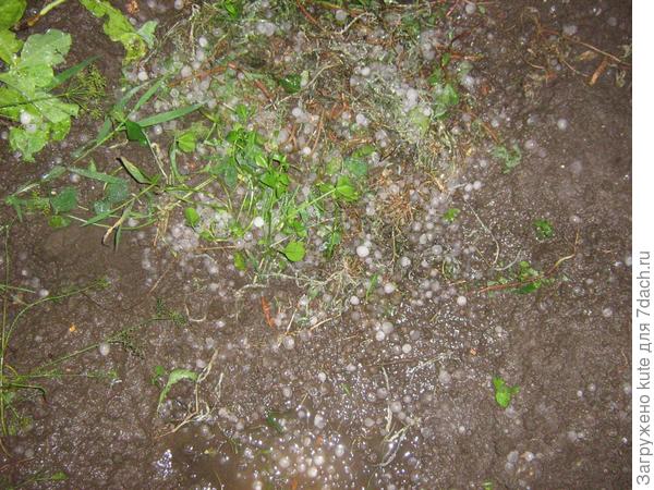 У нас прошёл град!