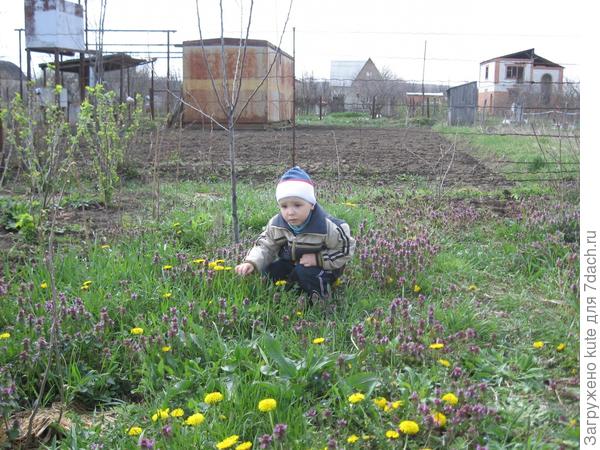 Алёша и Славик на даче.