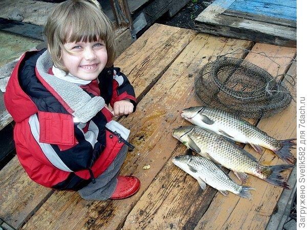 Наша любимая дача!