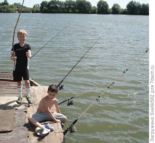 Наша любимая дача!