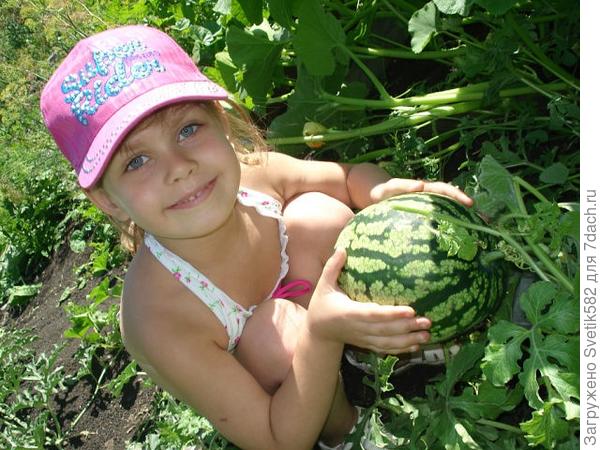 Наша любимая дача!