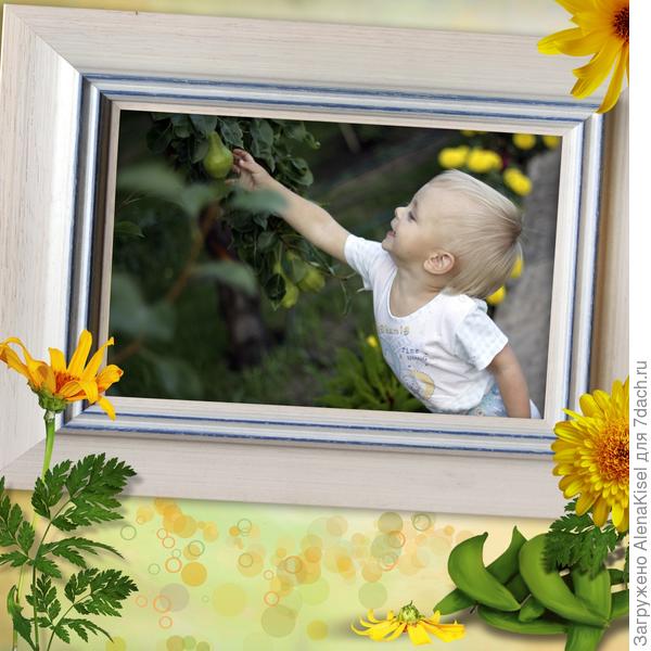 Фотокнига Выходные на даче