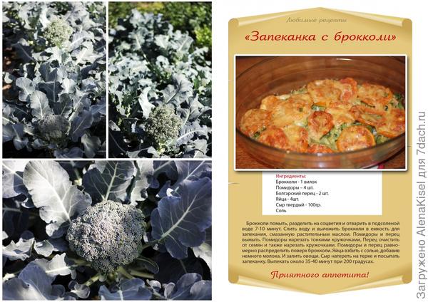 На Даче работай с Душой, и Урожай будет большой!