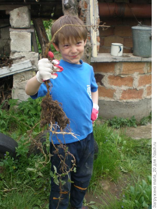 Вот как надо работать!!!