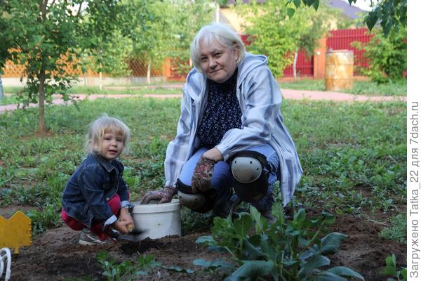 бабушкина помощница