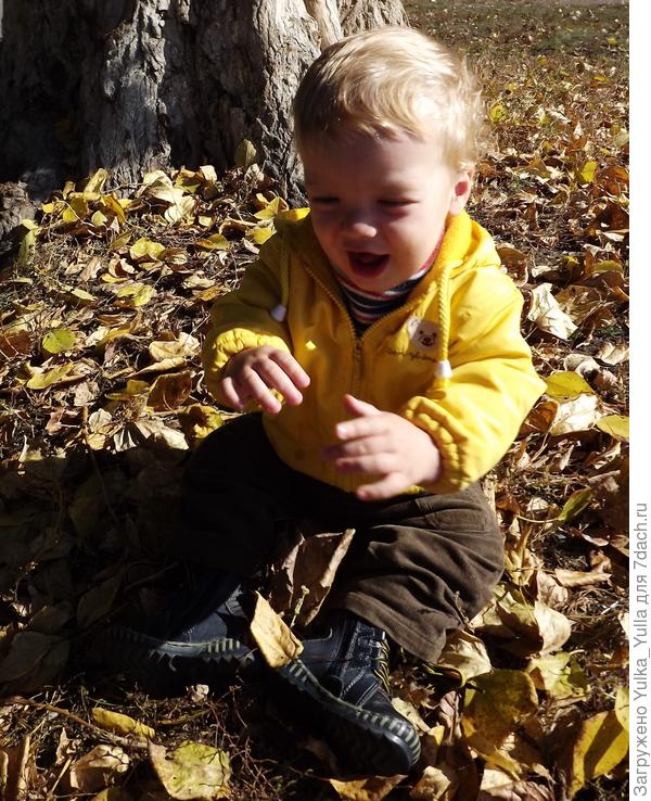 первая осень на даче!