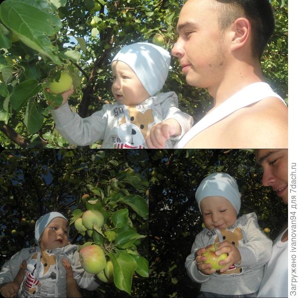 хорошо летом на даче!