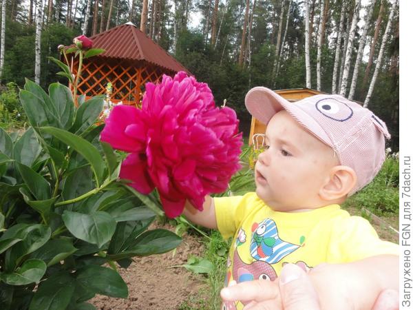 Света на даче