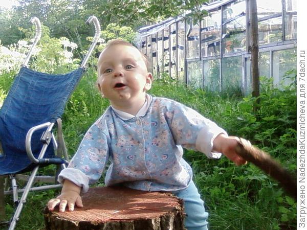 По дрова, помогаю баньку топить,пусть ходить не очень получается,но я стараюсь!!!