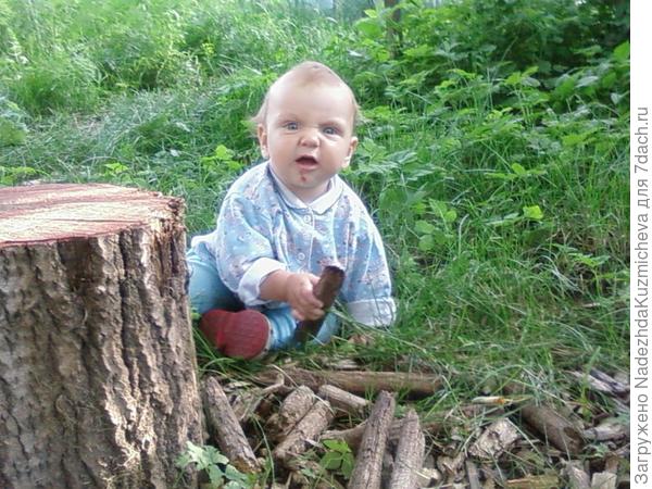 По дрова, помогаю баньку топить,пусть ходить не очень получается,но я стараюсь!!!