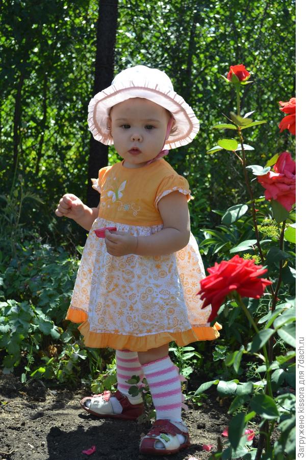 Мой маленький цветочек