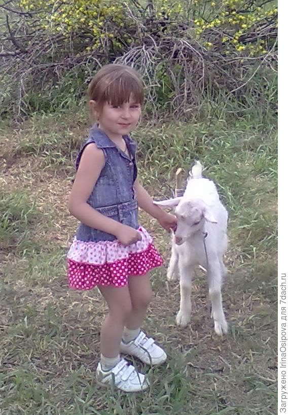 мой дачный питомец-Зинка