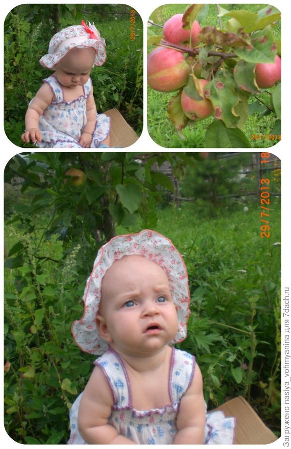 Есть слово волшебное - дача!!!