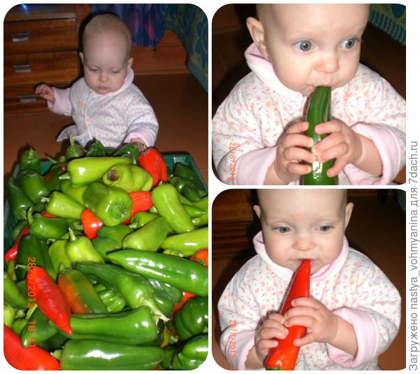 Есть место волшебное - дача! На ней все растет и цветет!!!