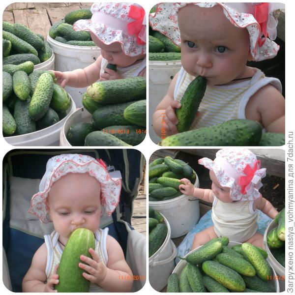 Есть место волшебное - дача! На ней все растет и цветет!!!