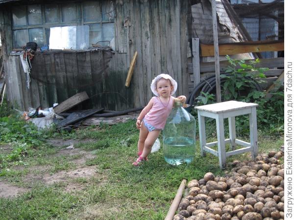 Наша первая картошка. В первый раз помогали копать картошку бабушке и деду. Устала)))