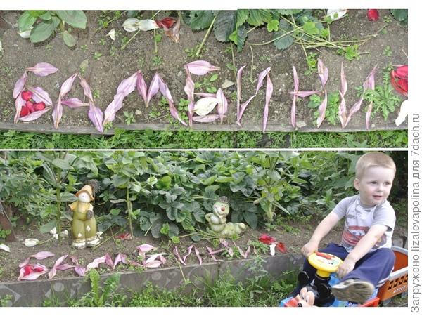 бамбиния